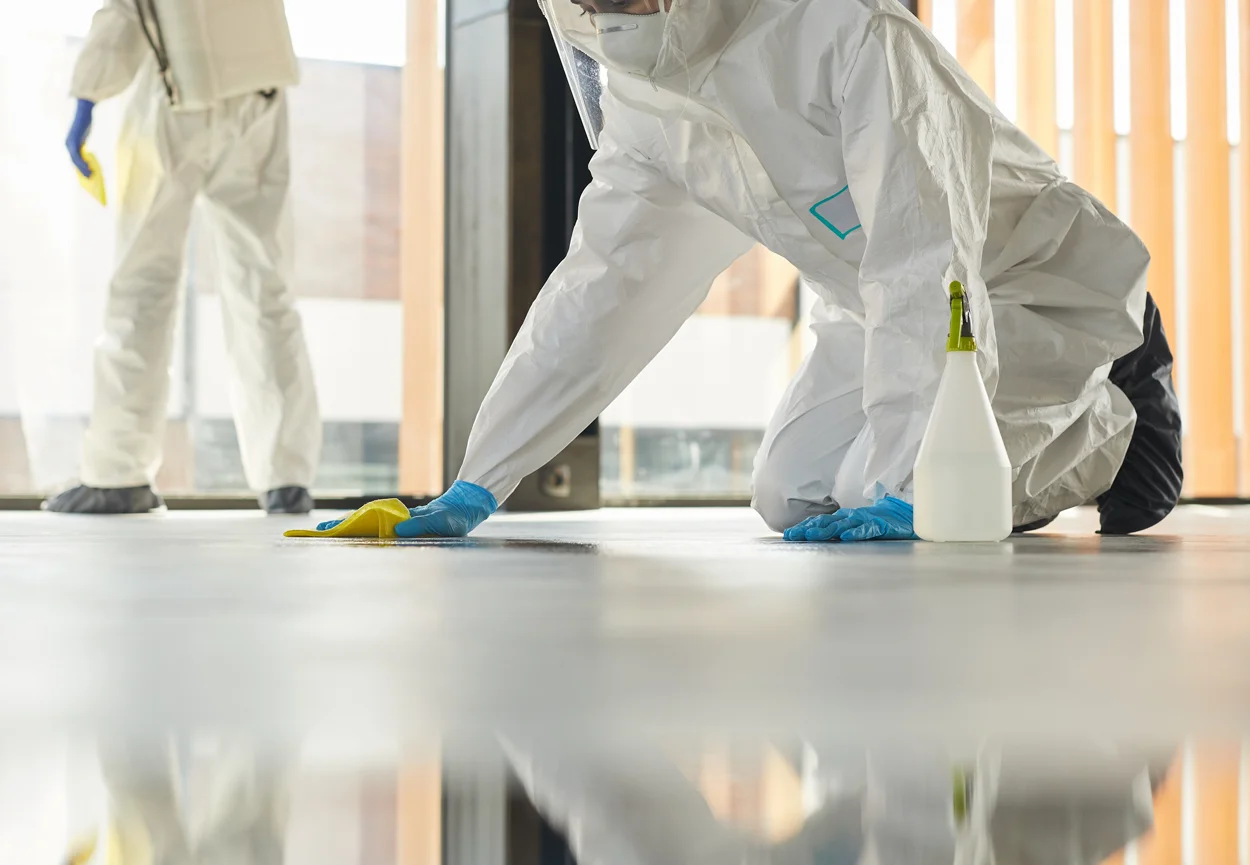 Reactive-Restoration-trauma-cleaning